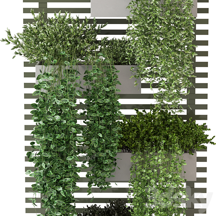 Indoor Plants Collection – Set 393 3DS Max Model - thumbnail 2