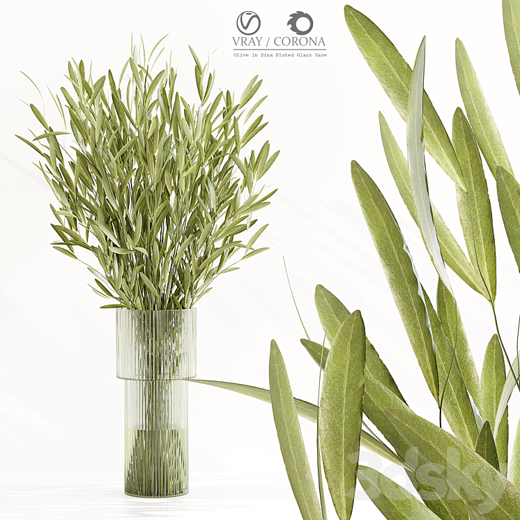 Olive In Dina Fluted Glass Vase 3DS Max - thumbnail 1