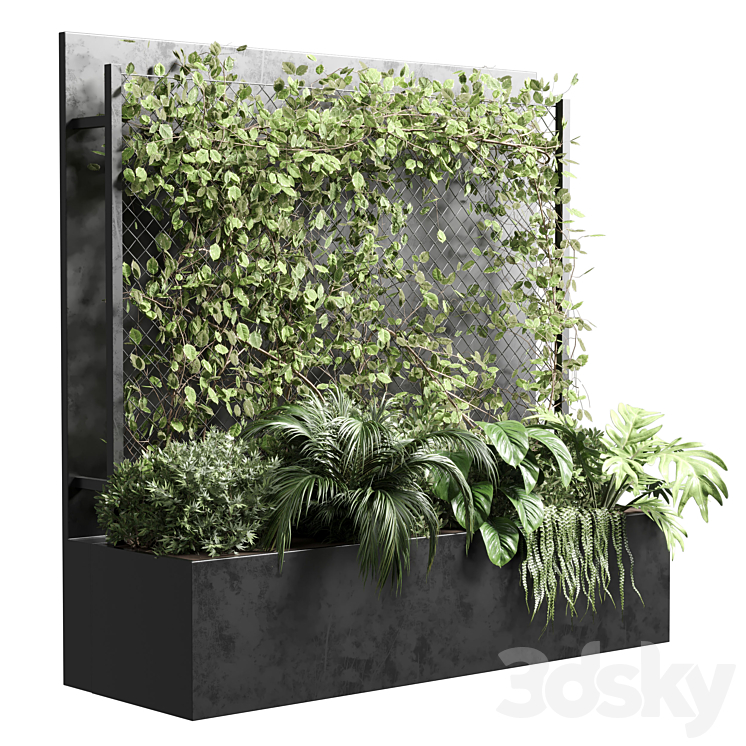 Ivy on Fence fitowall – vertical garden box 01 3DS Max Model - thumbnail 1
