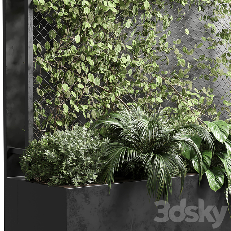 Ivy on Fence fitowall – vertical garden box 01 3DS Max Model - thumbnail 2