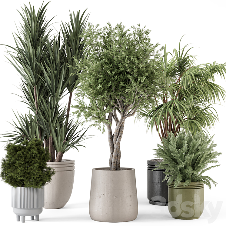 Indoor Plants in Ferm Living Bau Pot Large - Set 817 Free Download