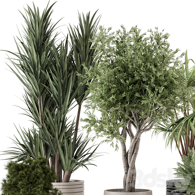 Indoor Plants in Ferm Living Bau Pot Large - Set 817 3D Model Free