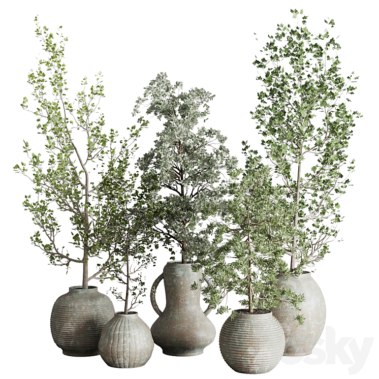 Collection indoor plant 240 pot Tree Bush Concrete Dirty Vase 3DS Max Model - thumbnail 1