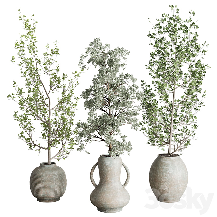 Collection indoor plant 240 pot Tree Bush Concrete Dirty Vase 3DS Max Model - thumbnail 2