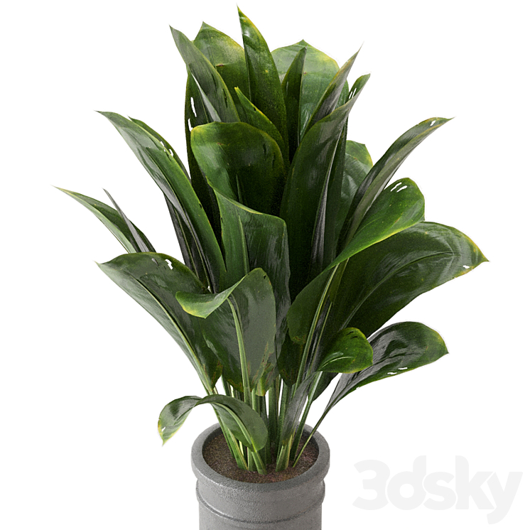 Indoor Plants Collection – Set 412 3DS Max - thumbnail 2