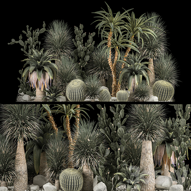 Collection of tropical plants of the desert 1117. cactus yucca prickly pear thickets bushes garden dracaena 3DS Max Model - thumbnail 1