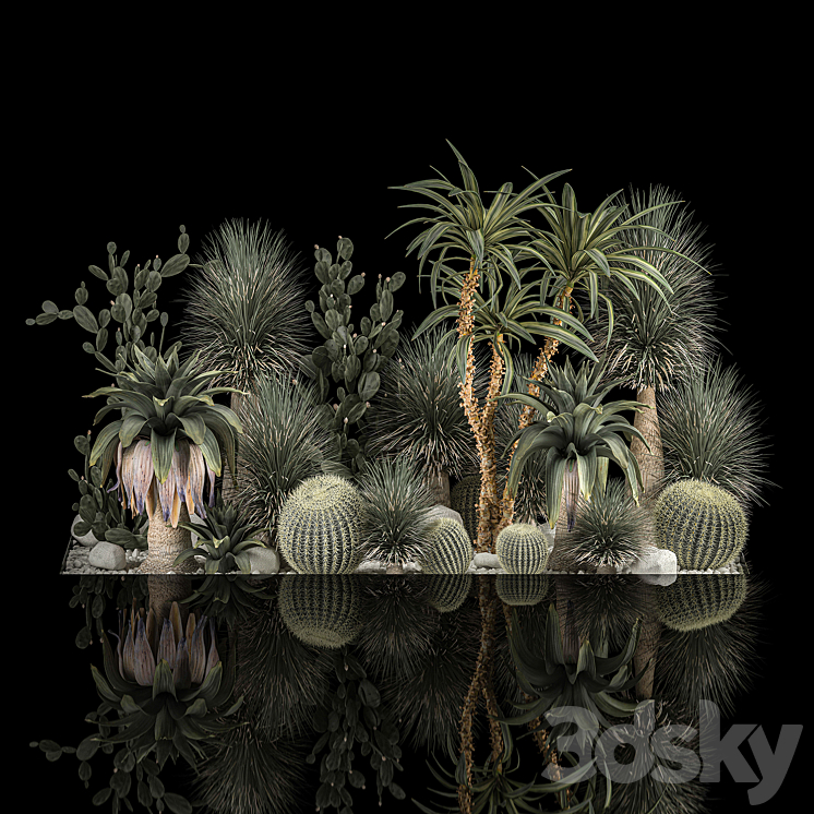 Collection of tropical plants of the desert 1117. cactus yucca prickly pear thickets bushes garden dracaena 3DS Max Model - thumbnail 2