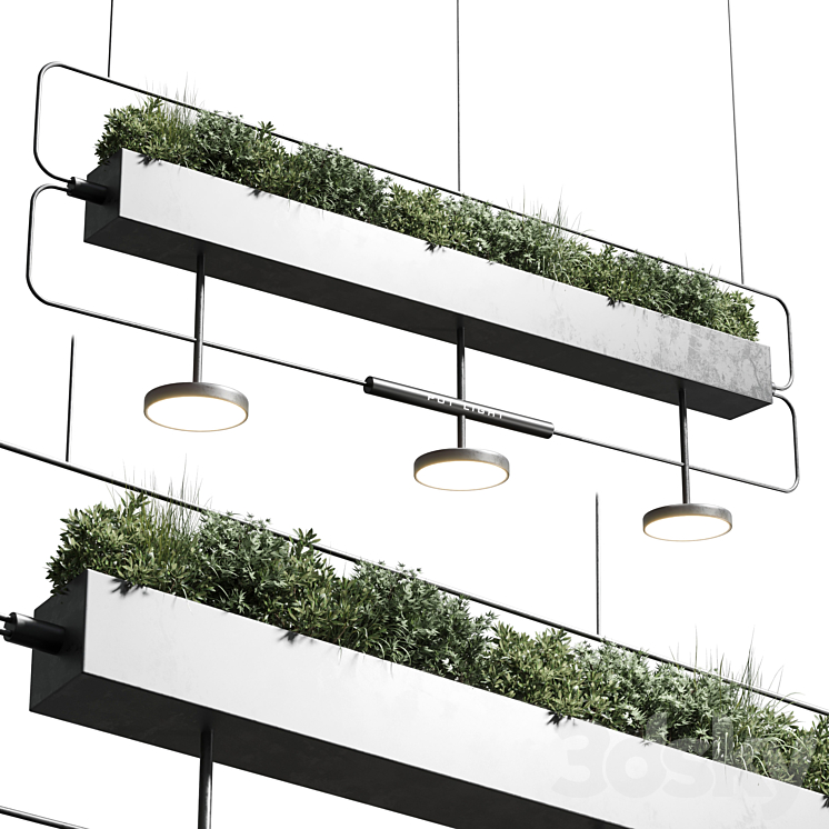 pot light – pendant plant light hanging 07 3DS Max Model - thumbnail 1