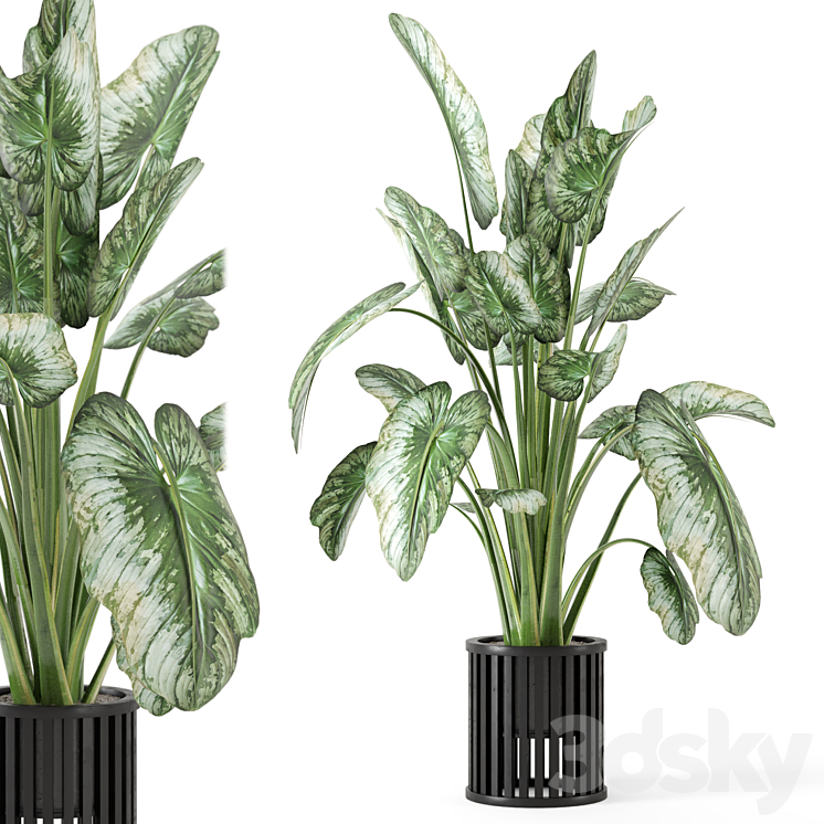 Indoor Plants in Metal Pot - Set 842 3D Model