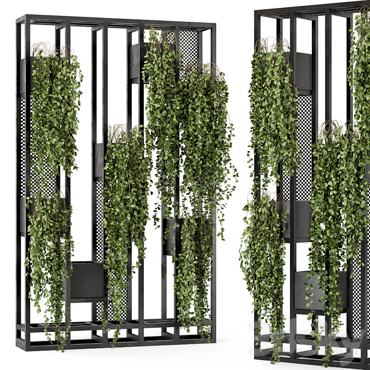 Indoor Hanging Plants in Metal Stand – Set 848 3D Model