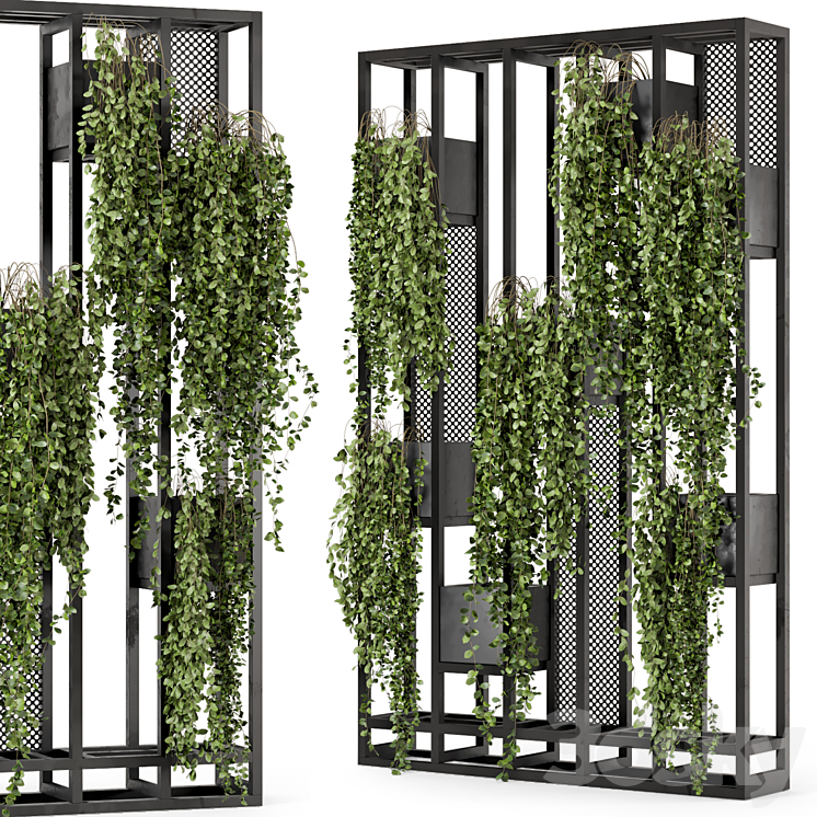 Indoor Hanging Plants in Metal Stand – Set 848 3DS Max - thumbnail 2