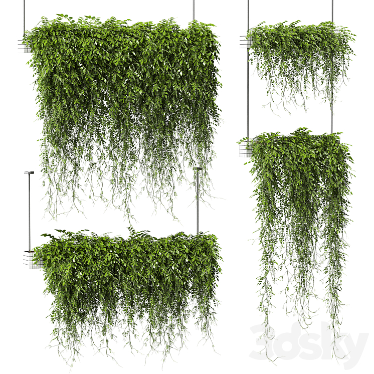 Plants in hanging pots v3. 4 models 3DS Max - thumbnail 1
