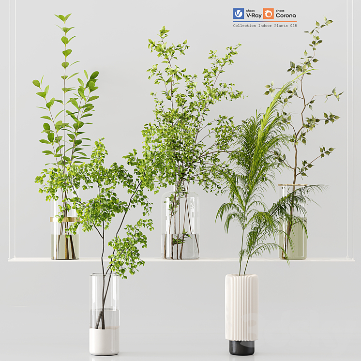 Collection Indoor Plants 028 3DS Max Model - thumbnail 1