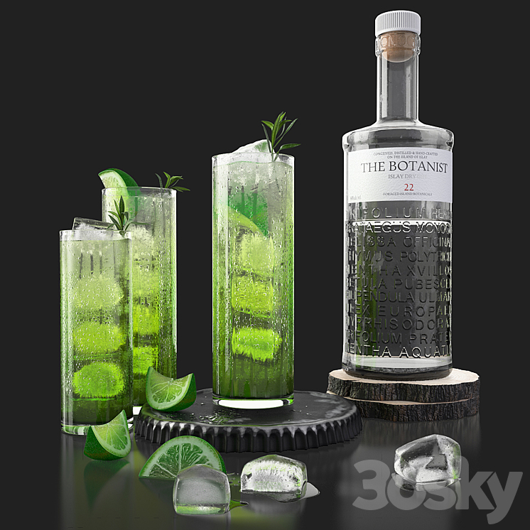 The Botanist gin and mojito with ice 3D Model