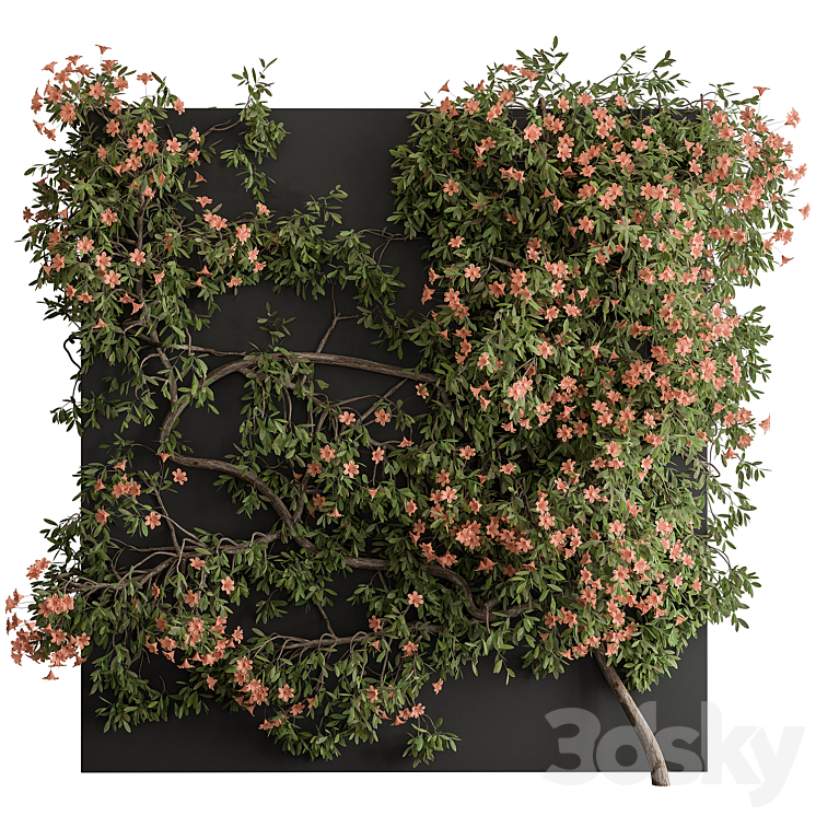 Outdoor Plant Set 426- Ivy on Wall 3DS Max - thumbnail 1
