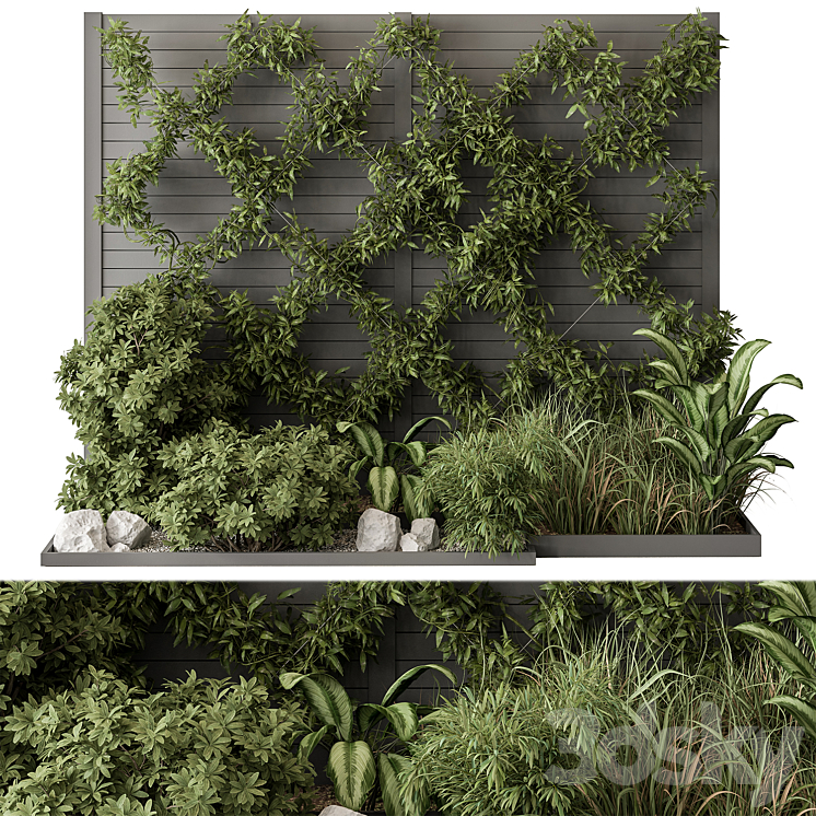Outdoor Plant Set 429- Ivy on Wall 3D Model