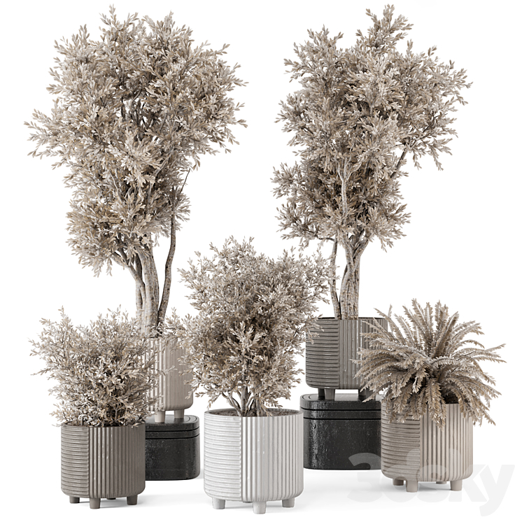 Indoor Plants in rusty Concrete Pot – Set 905 3DS Max Model - thumbnail 1