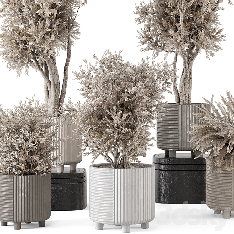 Indoor Plants in rusty Concrete Pot – Set 905 3DS Max Model - thumbnail 2