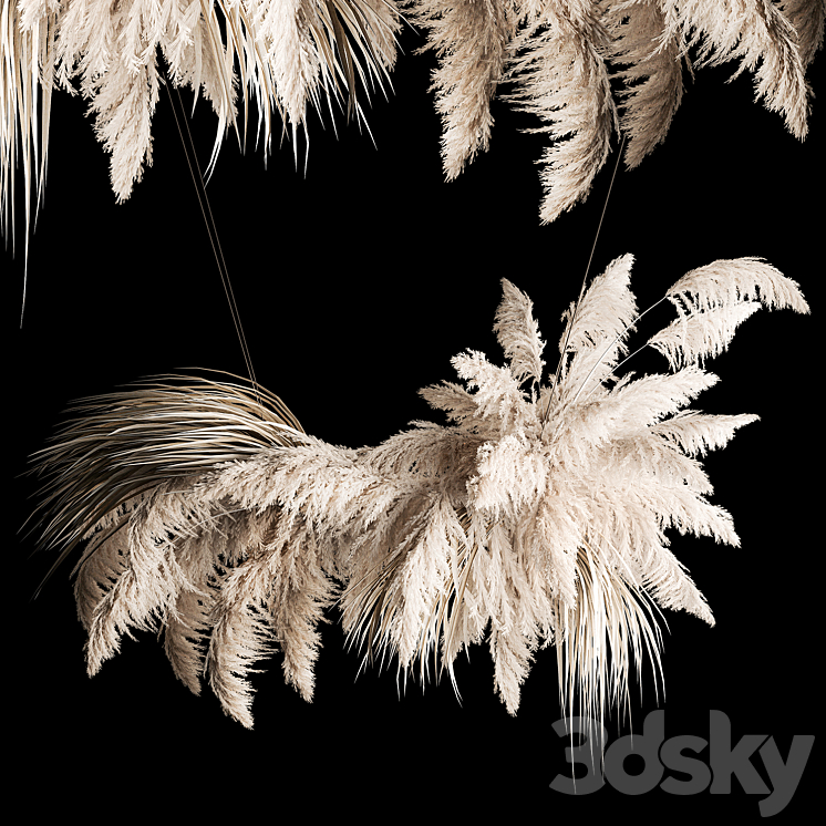 Hanging bouquet installation of white reeds dried flower from pampas grass reed Cortaderia. 260. 3D Model Free