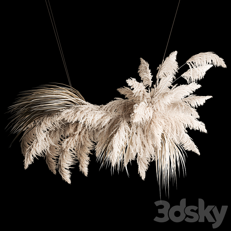Hanging bouquet installation of white reeds dried flower from pampas grass reed Cortaderia. 260. Free Download