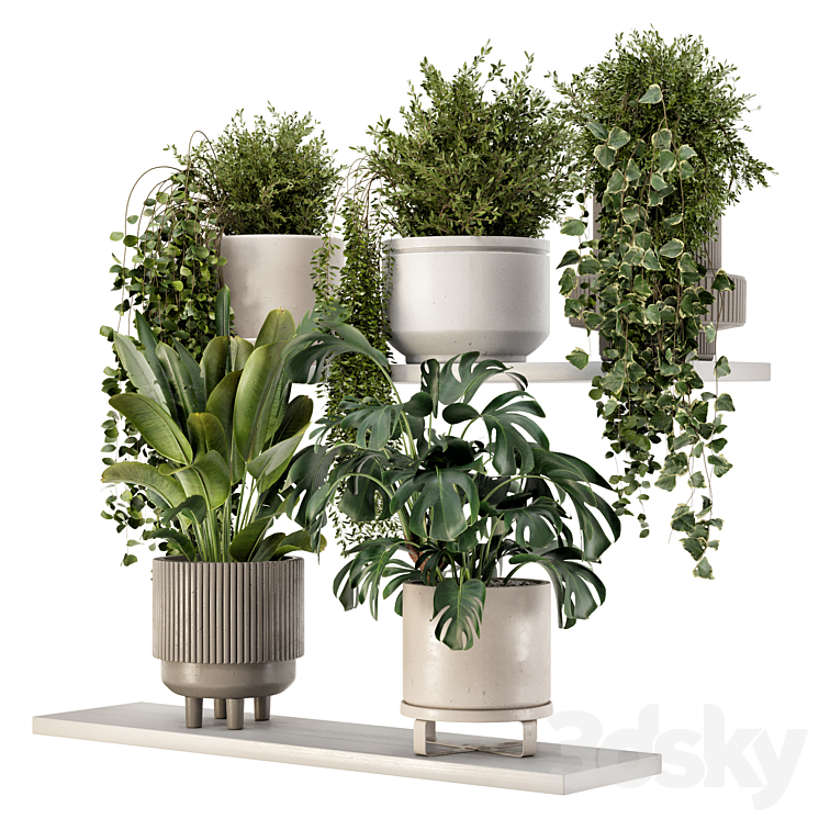 Indoor Hanging Plants in rusty Concrete Pot - Set 909 3D Model Free