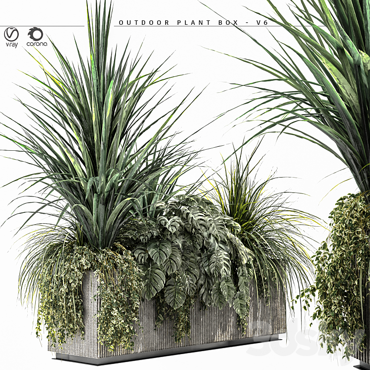Outdoor Plant BOX-V6 3D Model