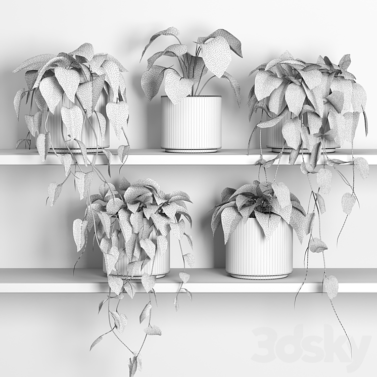 plants on shelf 04 3DS Max Model - thumbnail 2