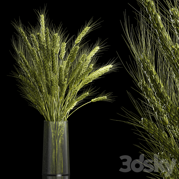 Bouquet of green flowers in a glass vase for decoration of wheat branches spikelet. 265. 3D Model