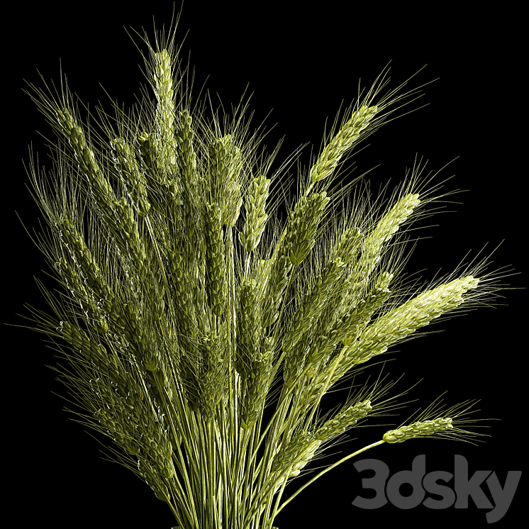 Bouquet of green flowers in a glass vase for decoration of wheat branches spikelet. 265. 3DS Max - thumbnail 2