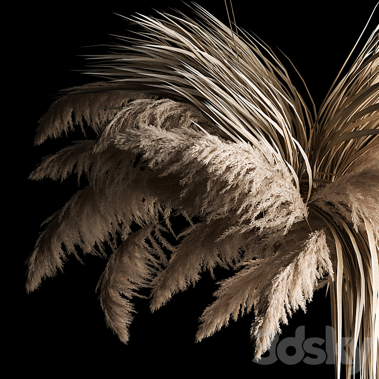 Hanging bouquet of dry reeds and pampas grass for decoration and interior. 266. 3DS Max Model - thumbnail 2