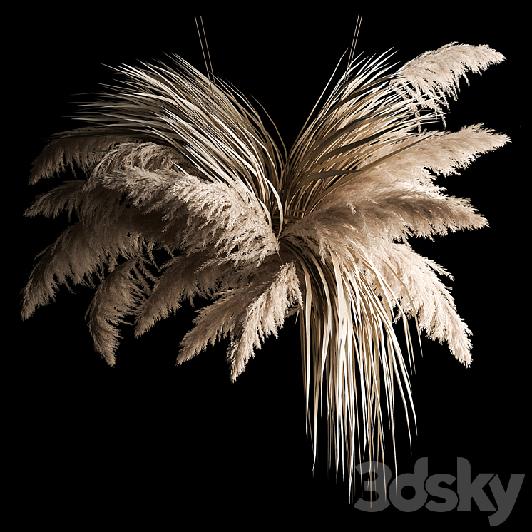 Hanging bouquet of dry reeds and pampas grass for decoration and interior. 266. 3D Model