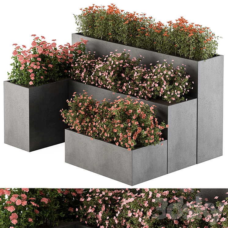 Flower Box – Outdoor Plants 436 3D Model