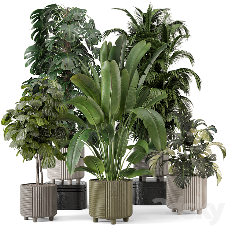 Indoor Planters in Cecilia Ficonstone Pot – Set 969 3DS Max Model - thumbnail 1