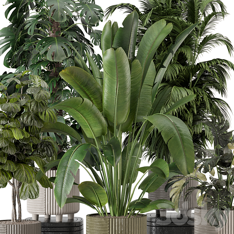 Indoor Planters in Cecilia Ficonstone Pot – Set 969 3DS Max Model - thumbnail 2