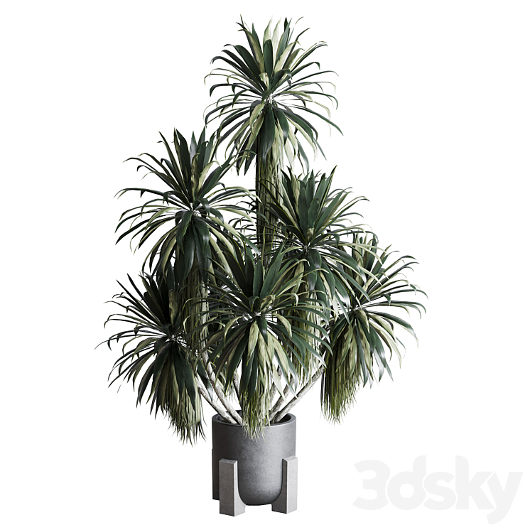 palm plant in concrete dirt vase – Indoor plant 275 3DS Max - thumbnail 1