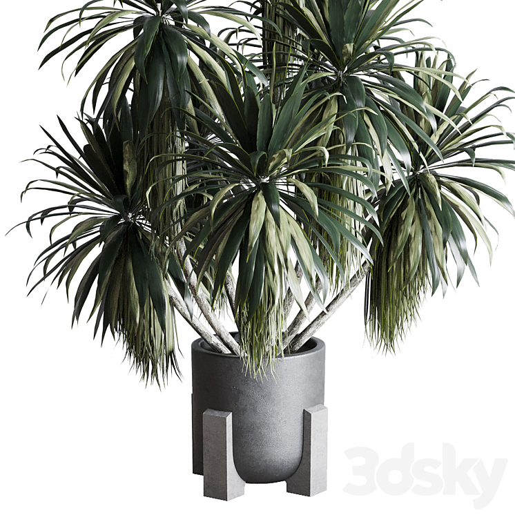 palm plant in concrete dirt vase – Indoor plant 275 3DS Max - thumbnail 2