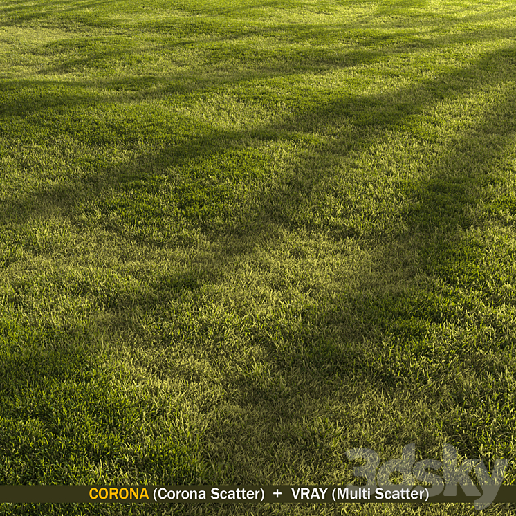 Forest grass 3D Model