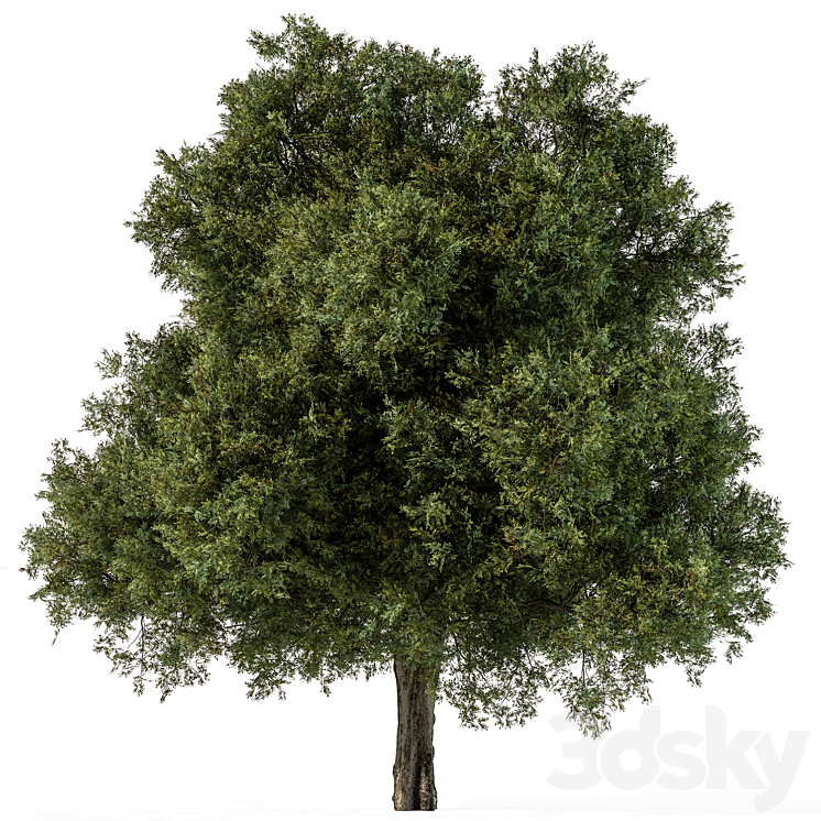 Tree Green Maple – Set 99 3D Model