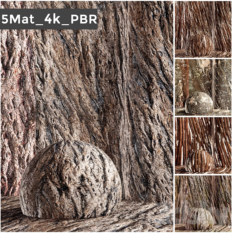 set 5 bark PBR materials 006 arc 3D Model