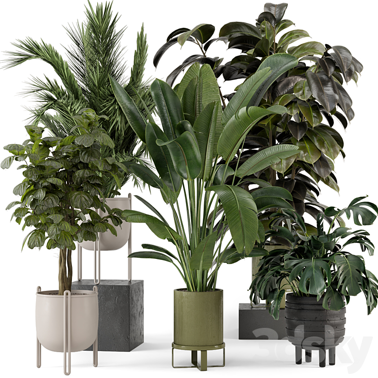 Indoor Plants in Ferm Living Bau Pot Large – Set 976 3DS Max Model - thumbnail 1