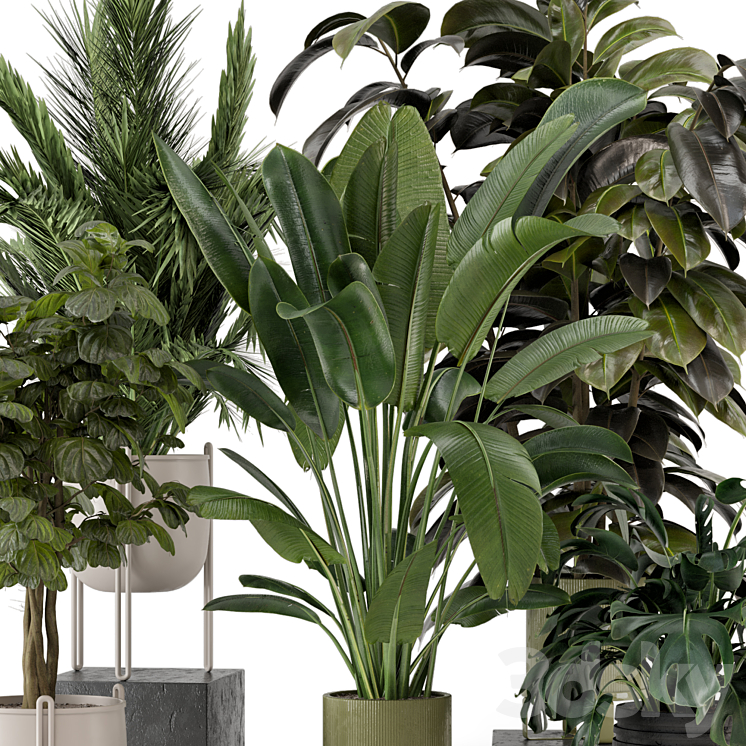 Indoor Plants in Ferm Living Bau Pot Large – Set 976 3DS Max Model - thumbnail 2