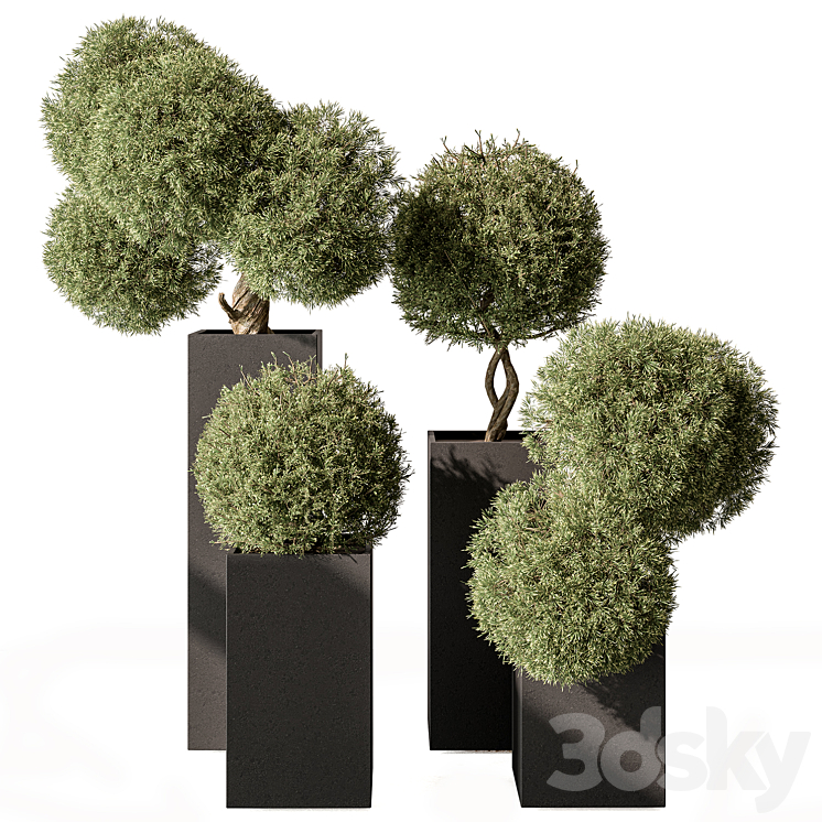 Topiary Plant in Box – Outdoor Plants 445 3D Model