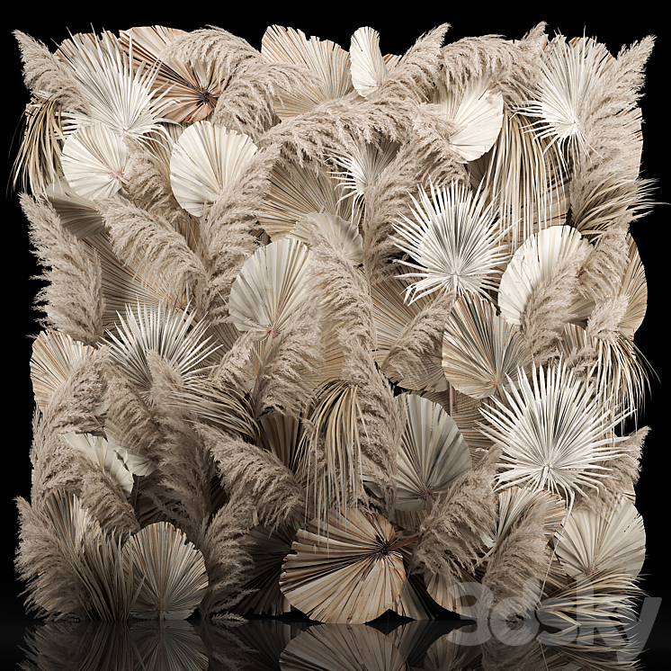 Phytostena of dried flowers pampas grass dry palm branches leaves Cortaderia and reeds. 274. 3D Model
