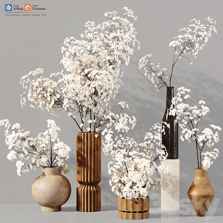 Collection Indoor Plants 030 3D Model