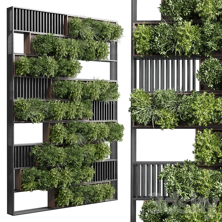 plants set partition in wooden frame – Vertical graden wall decor box 35 3D Model
