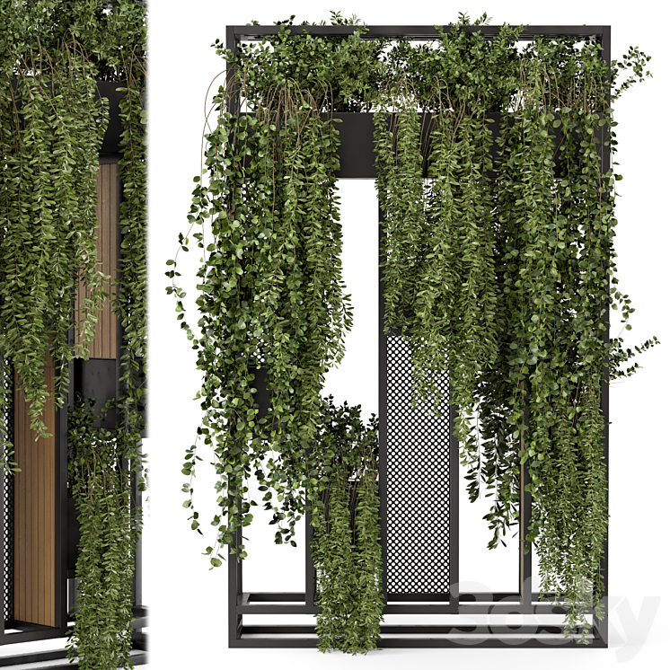 Indoor Hanging Plants in Metal Stand – Set 1005 3DS Max - thumbnail 2
