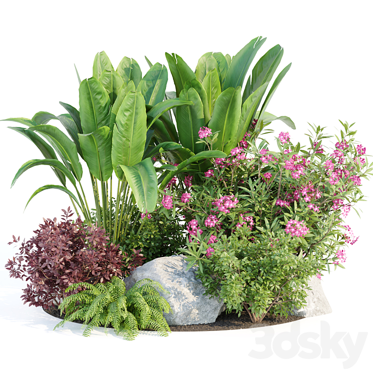 Outdoor Garden Plants Collection vol 136 3D Model