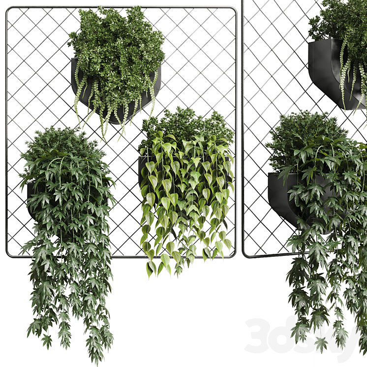 wall plant – hanging plants collection Indoor plant 293 metal dirt vase 3DS Max Model - thumbnail 1