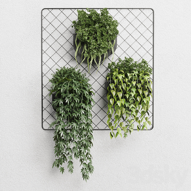 wall plant – hanging plants collection Indoor plant 293 metal dirt vase 3DS Max Model - thumbnail 2