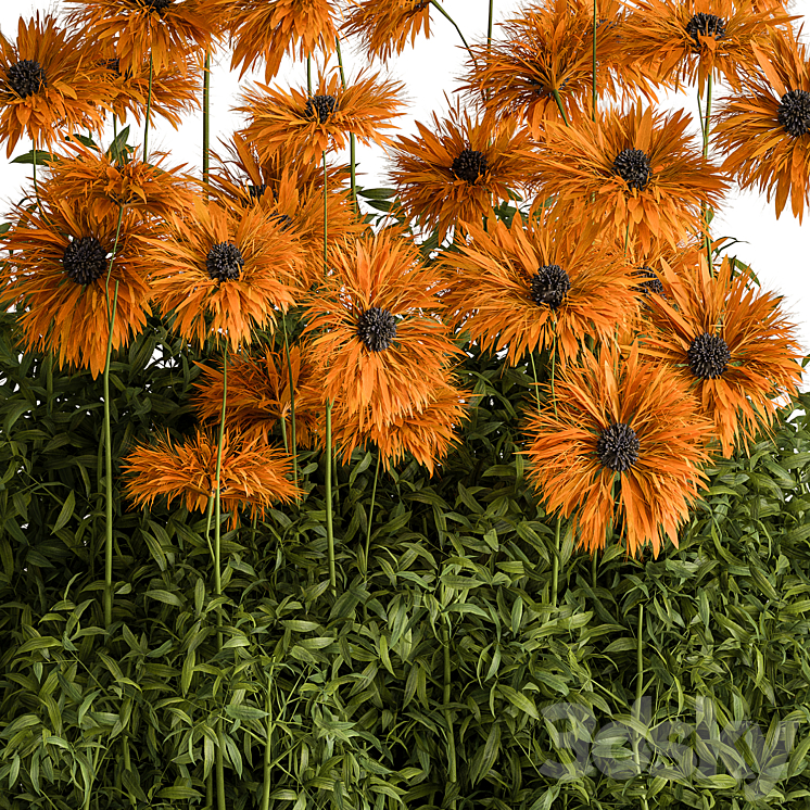 Creeper Yellow Flower - Bush Set 93 3D Model Free